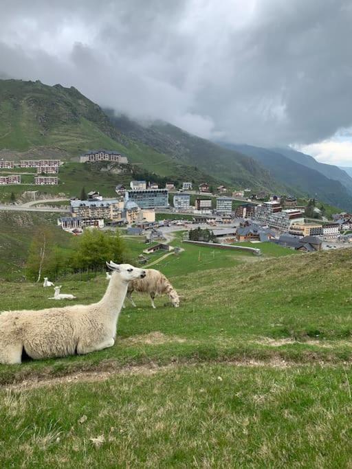 Apartmán Appt Chaleureux 2 - 4 Personnes Au Pied Des Pistes - Draps Et Linges De Toilette Non Fournis - Menage Non Inclus La Mongie Exteriér fotografie