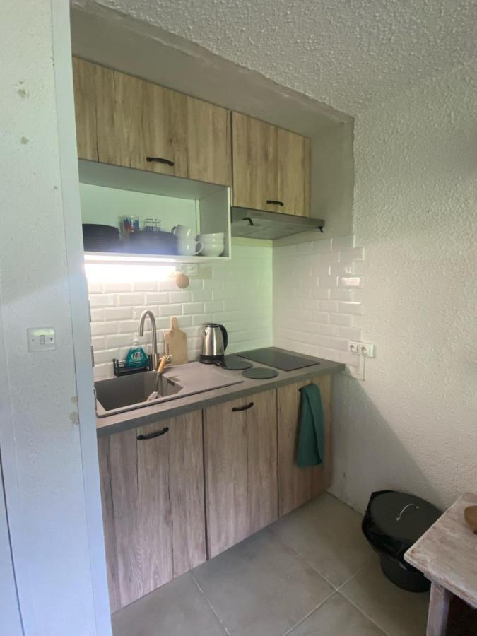 Apartmán Appt Chaleureux 2 - 4 Personnes Au Pied Des Pistes - Draps Et Linges De Toilette Non Fournis - Menage Non Inclus La Mongie Exteriér fotografie
